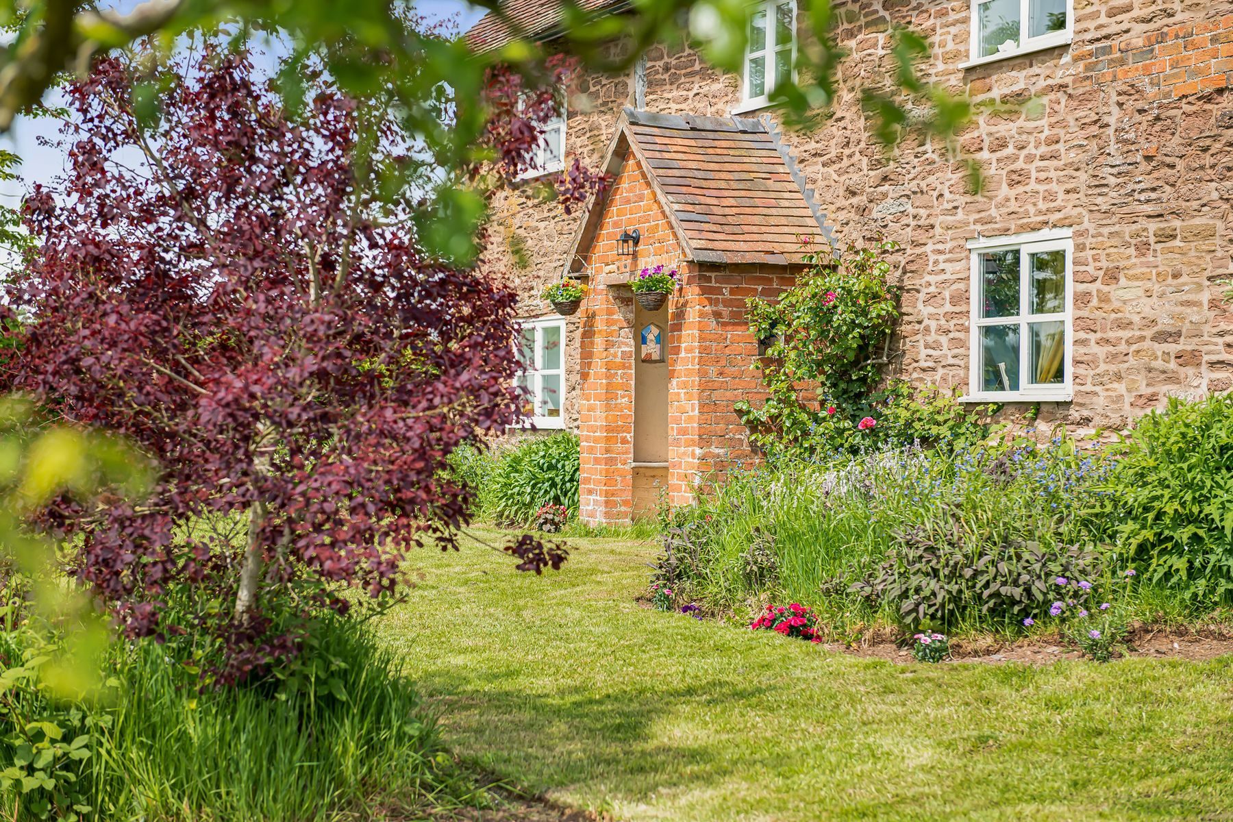 Lower Wood Farmhouse framed through a copper beech in the garden